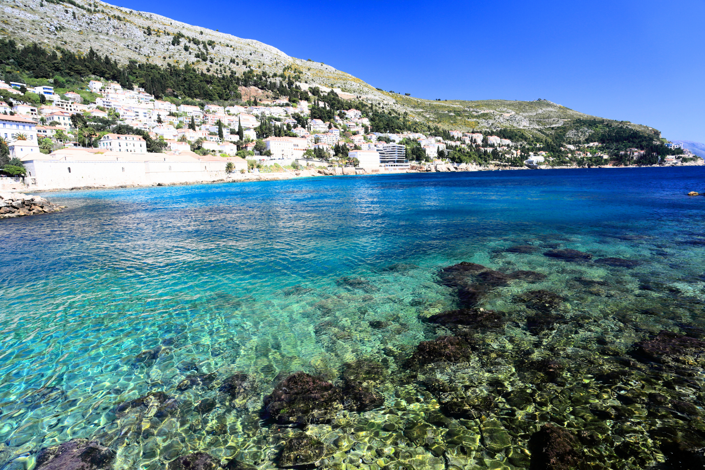 93 ploce.webp